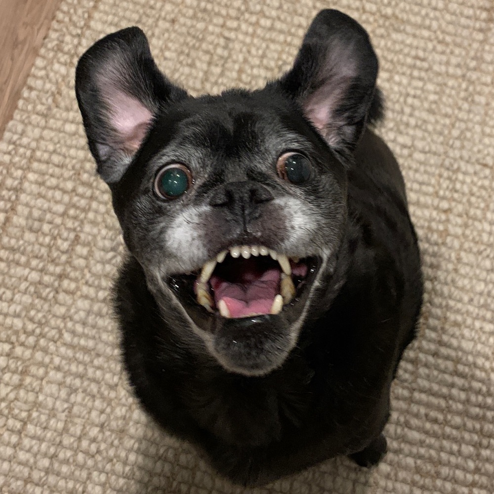 Hi!